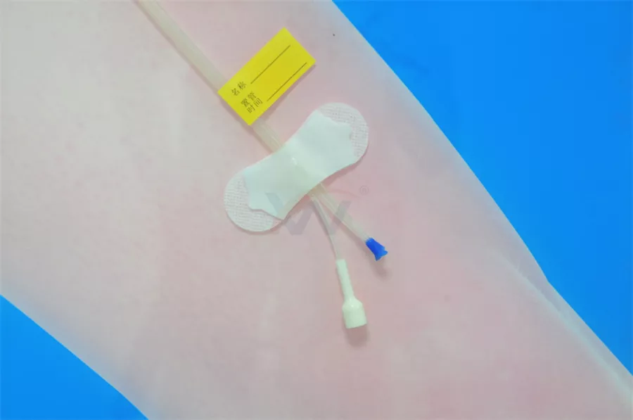 B2型中心静脉导管固定装置